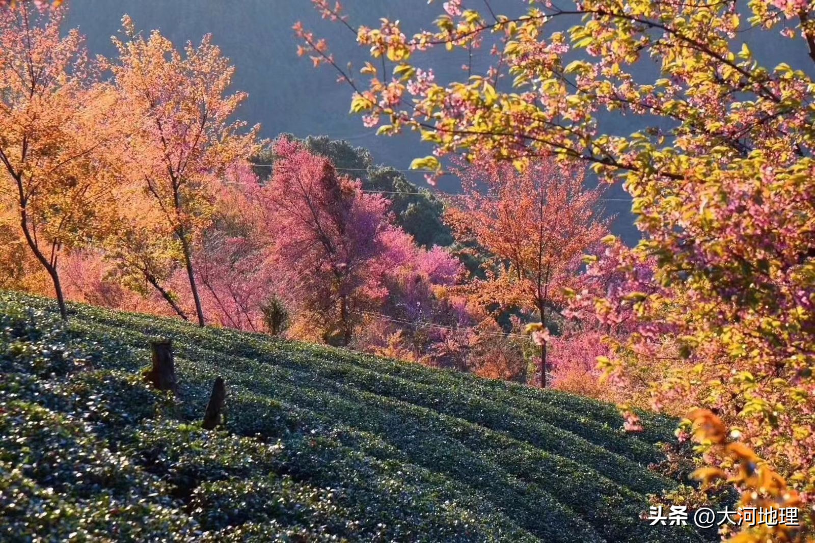 中国南方这30个景点,难说多知名,但敢说它的秋色最艳最浪漫