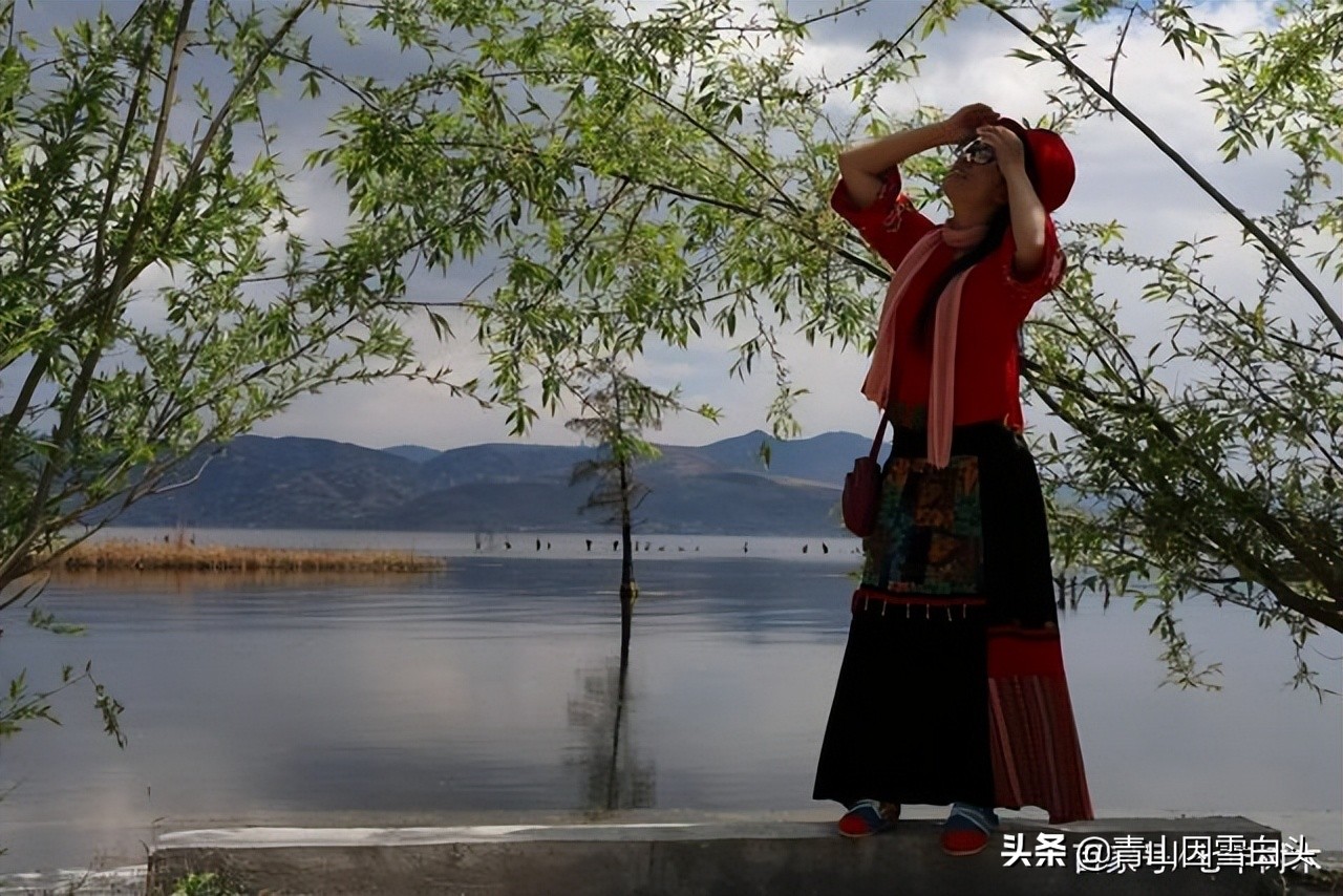 种树植树节,植树节种树的过程