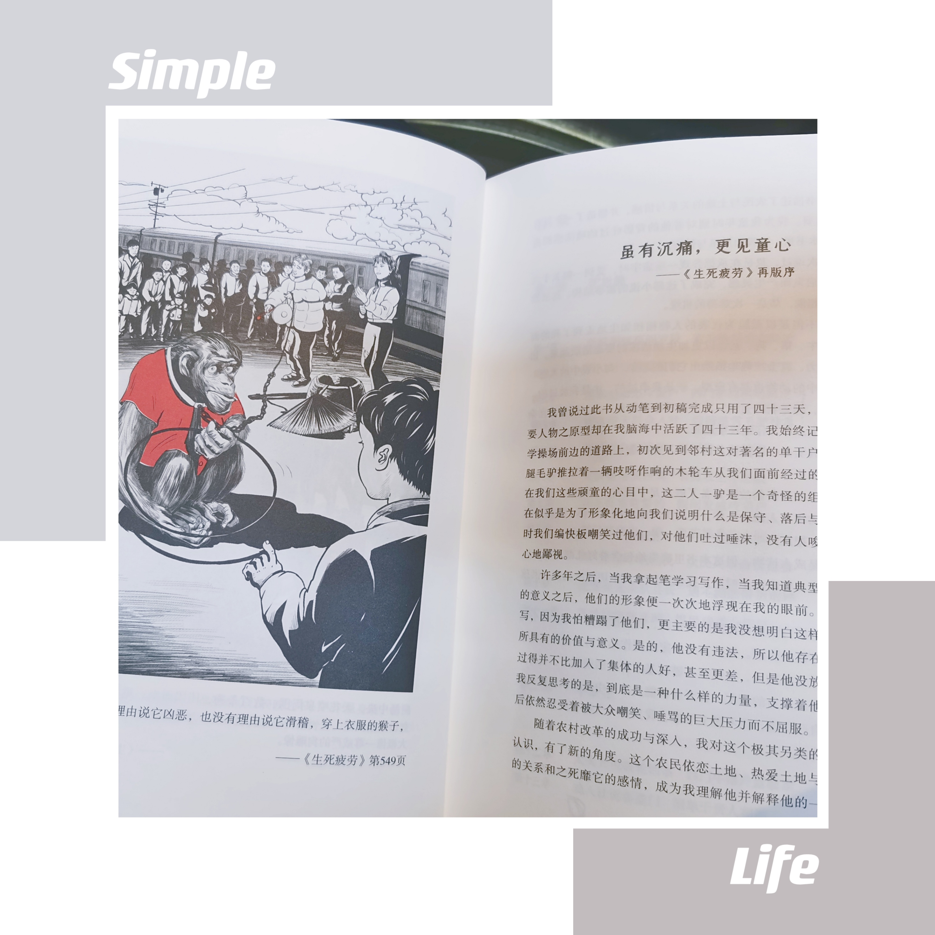 一本书让你感悟人生,生活的酸甜苦辣咸自己体会