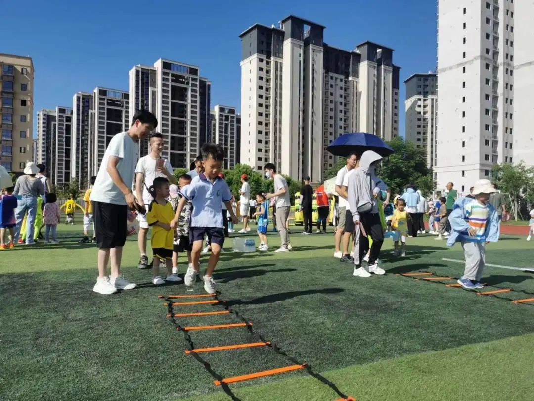 派迪茵体育产品,派迪茵体育直播