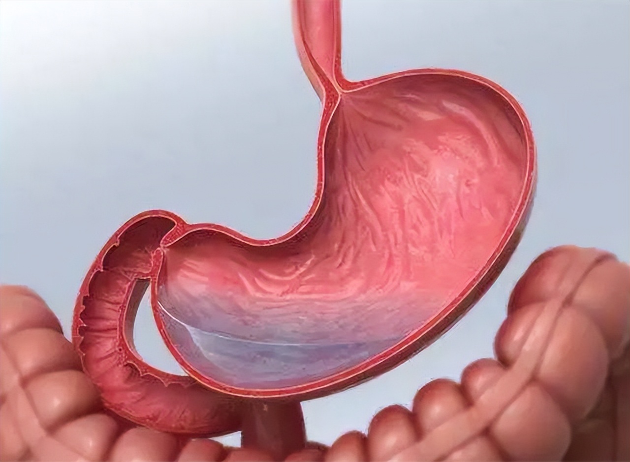 柿子，是胃炎的“加速剂”吗？医生劝告：养胃，少碰4果，做好6事