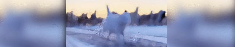 美国对中国最新订单,中国与美国最新订单