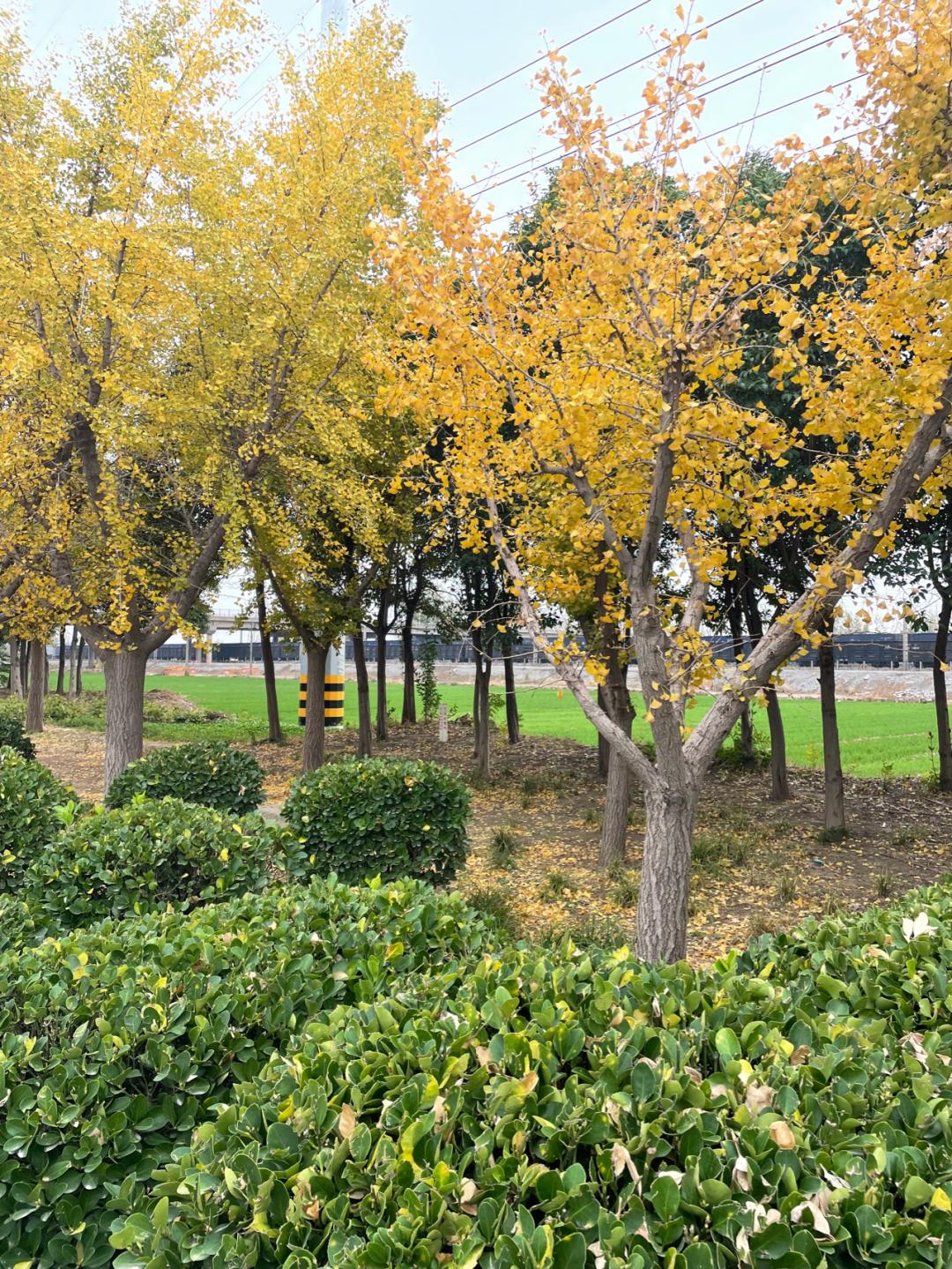 环渤海湾骑行记,环山东骑行日记青岛平度市