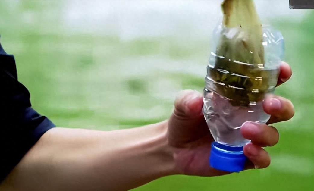 手撕*袜丝**，筷子夹胸，辣眼睛场景难忍受