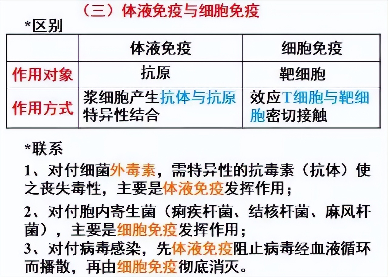 高中生物细胞免疫全知识点视频,生物高中知识点免疫调节