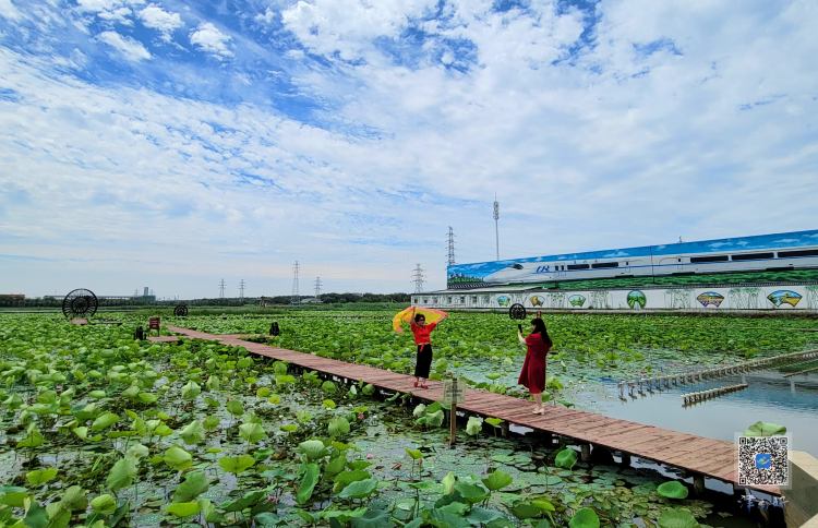 【十项行动·津南行动】在津南，赴一场“文明之约”——天津津南区创建全国文明城区工作综述