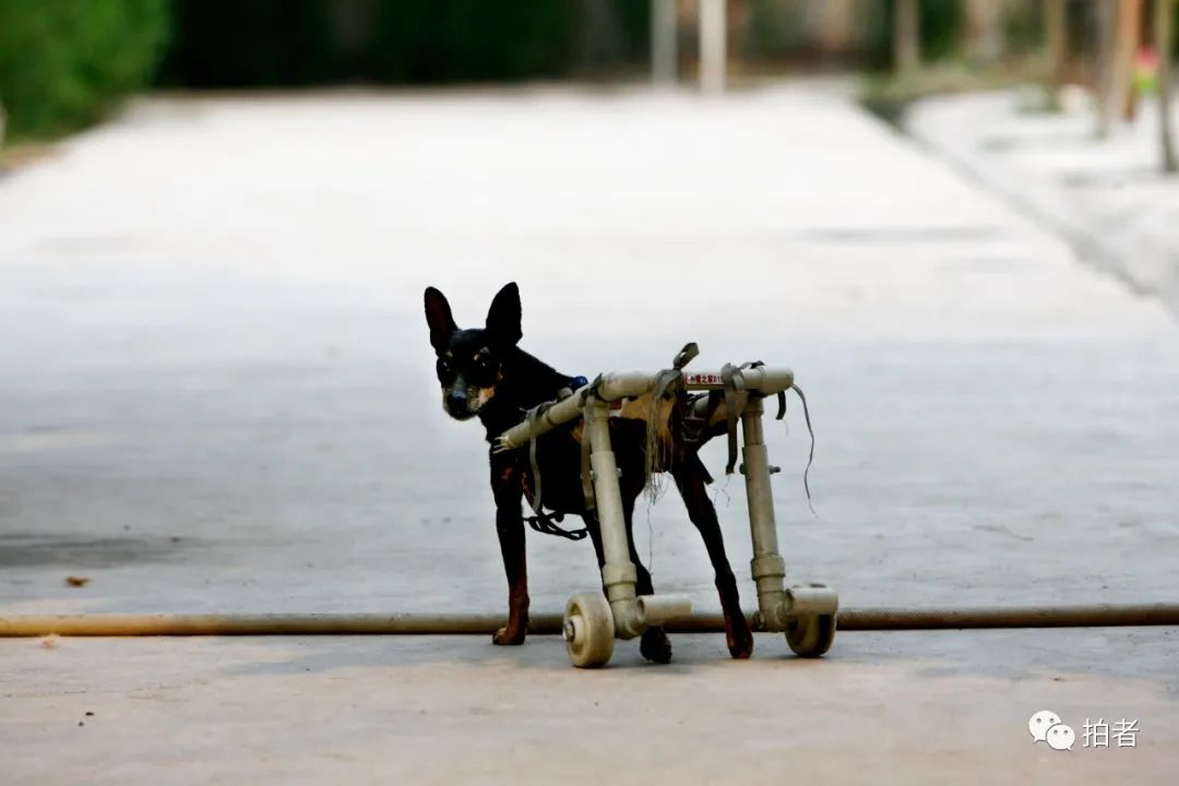 汶川十年回忆图片,汶川十年后的图片