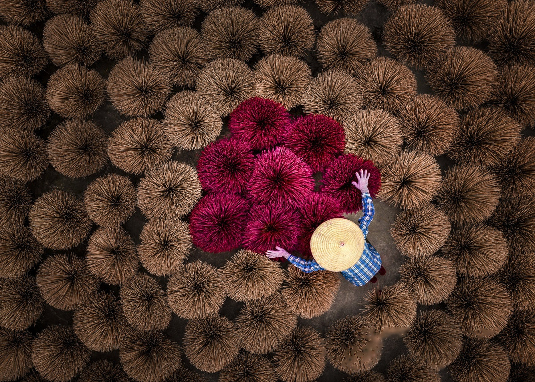 中国制造业加速转移越南,制造业向越南转移