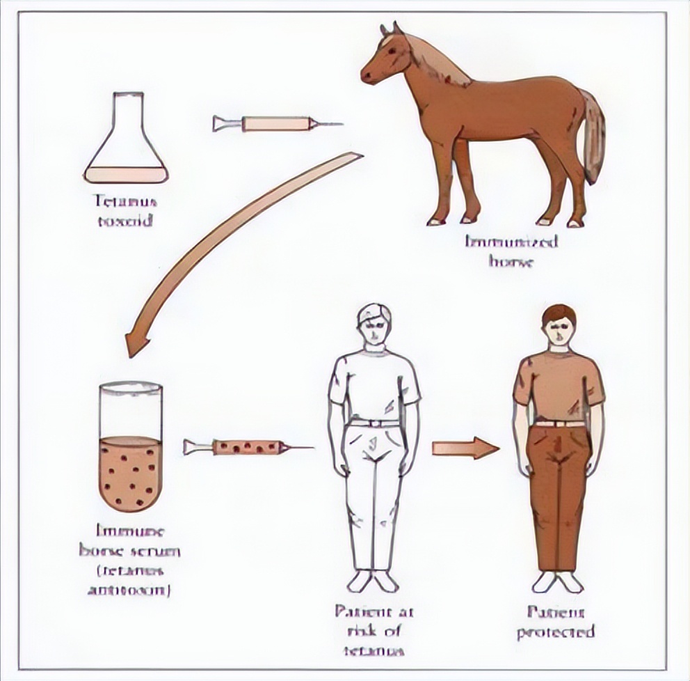 湖南七旬老人被毒蛇咬伤！抗蛇毒血清为什么这么少？