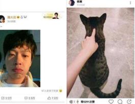 内娱报道杨幂,娱乐圈资本杨幂