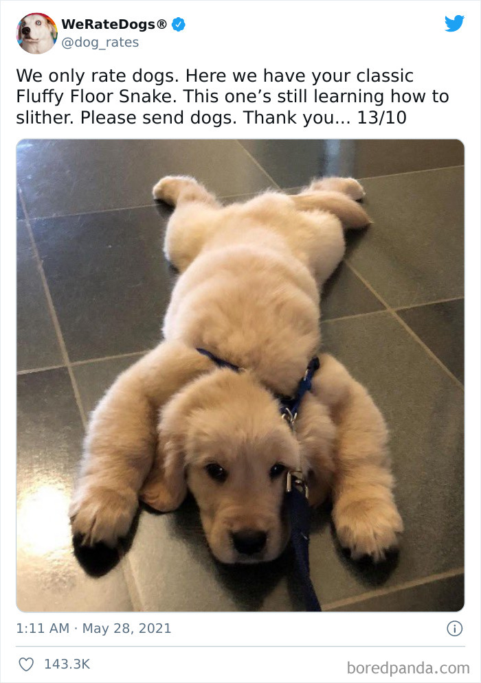 缇庡浗灏忓摜鐐硅瘎瑙嗛,缇庡浗灏忓摜鐐硅瘎