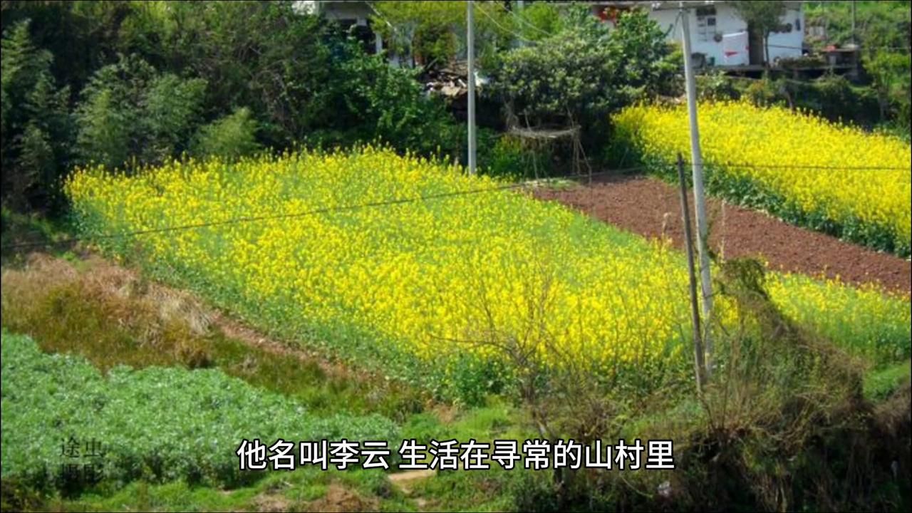 修真界炼体境界,修真界禅宗