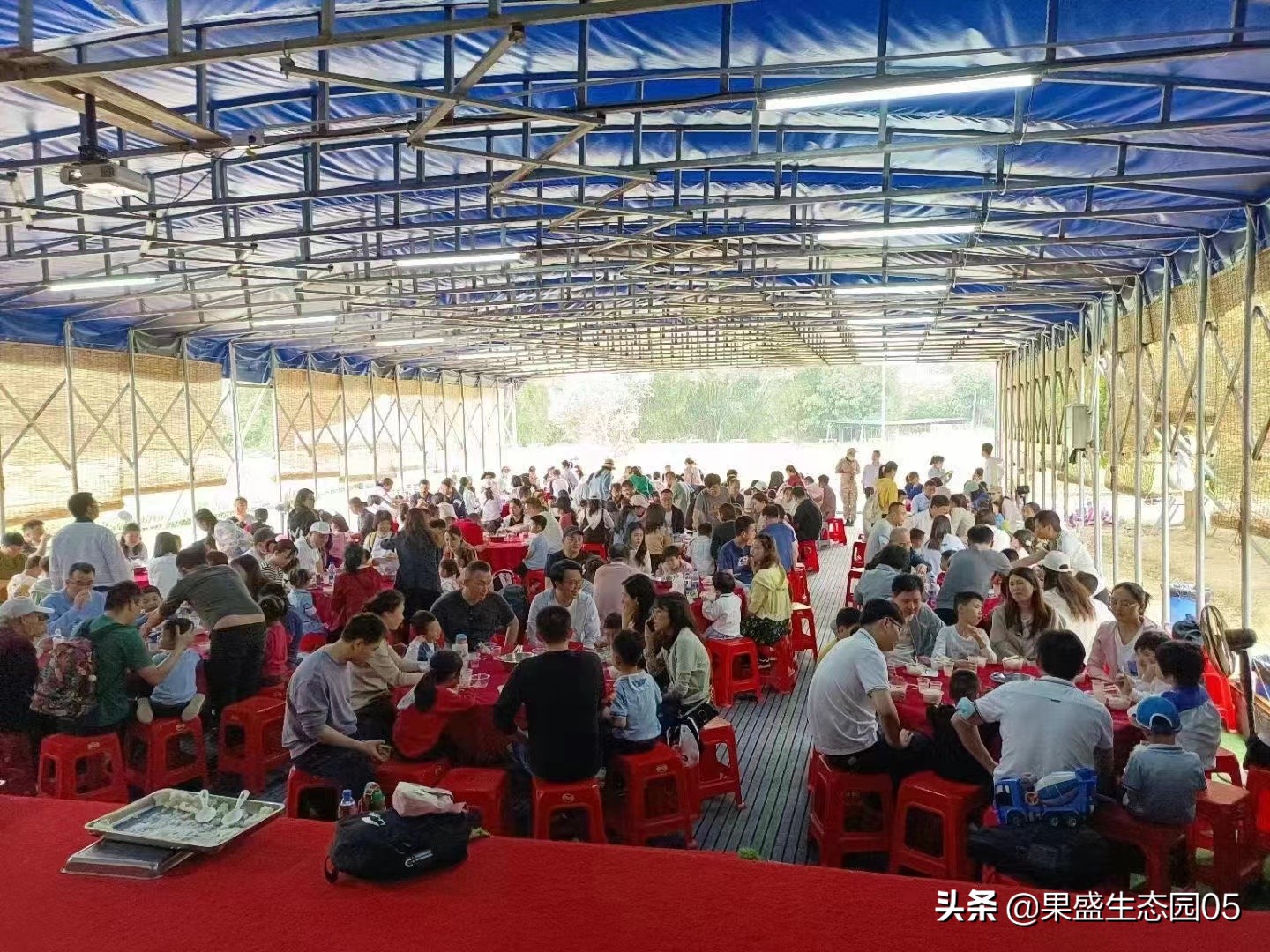 惠州带小孩去玩的农家乐,惠州亲子游十大排名农家乐