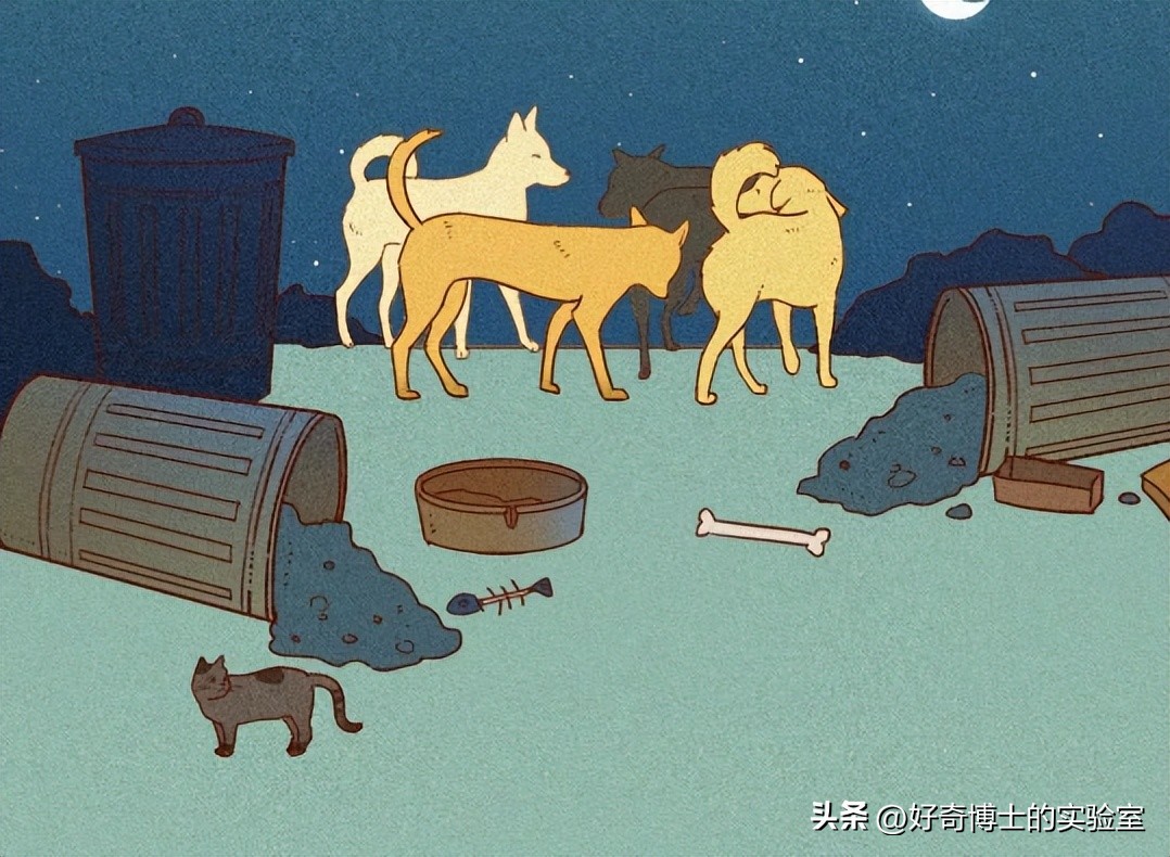 狗朝着没人的地方狂吠，是看到了什么「不干净」的东西吗？