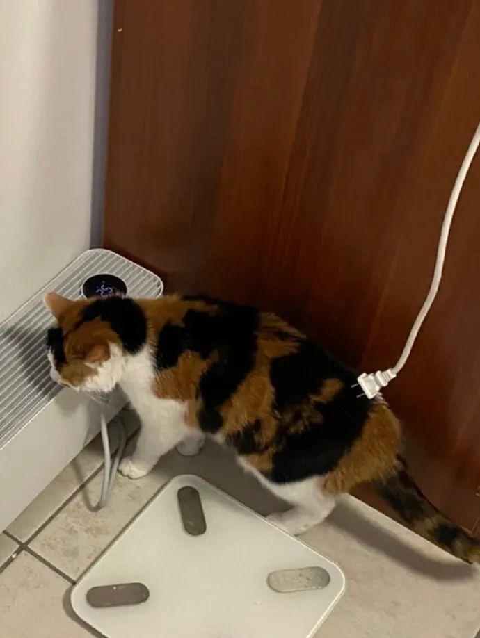 每日一笑最新段子,段子每日一笑