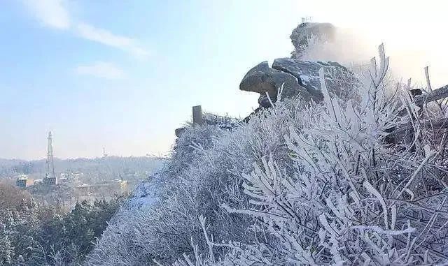 地暖有必要装吗信阳,信阳未来社区房子有地暖吗