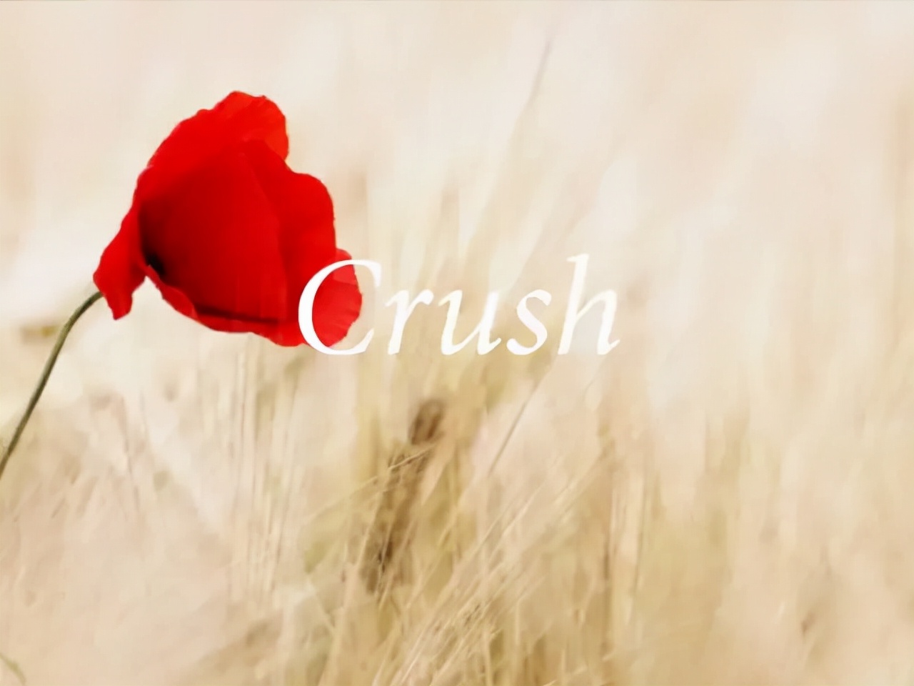 英语个性签名唯美,英语的个性签名