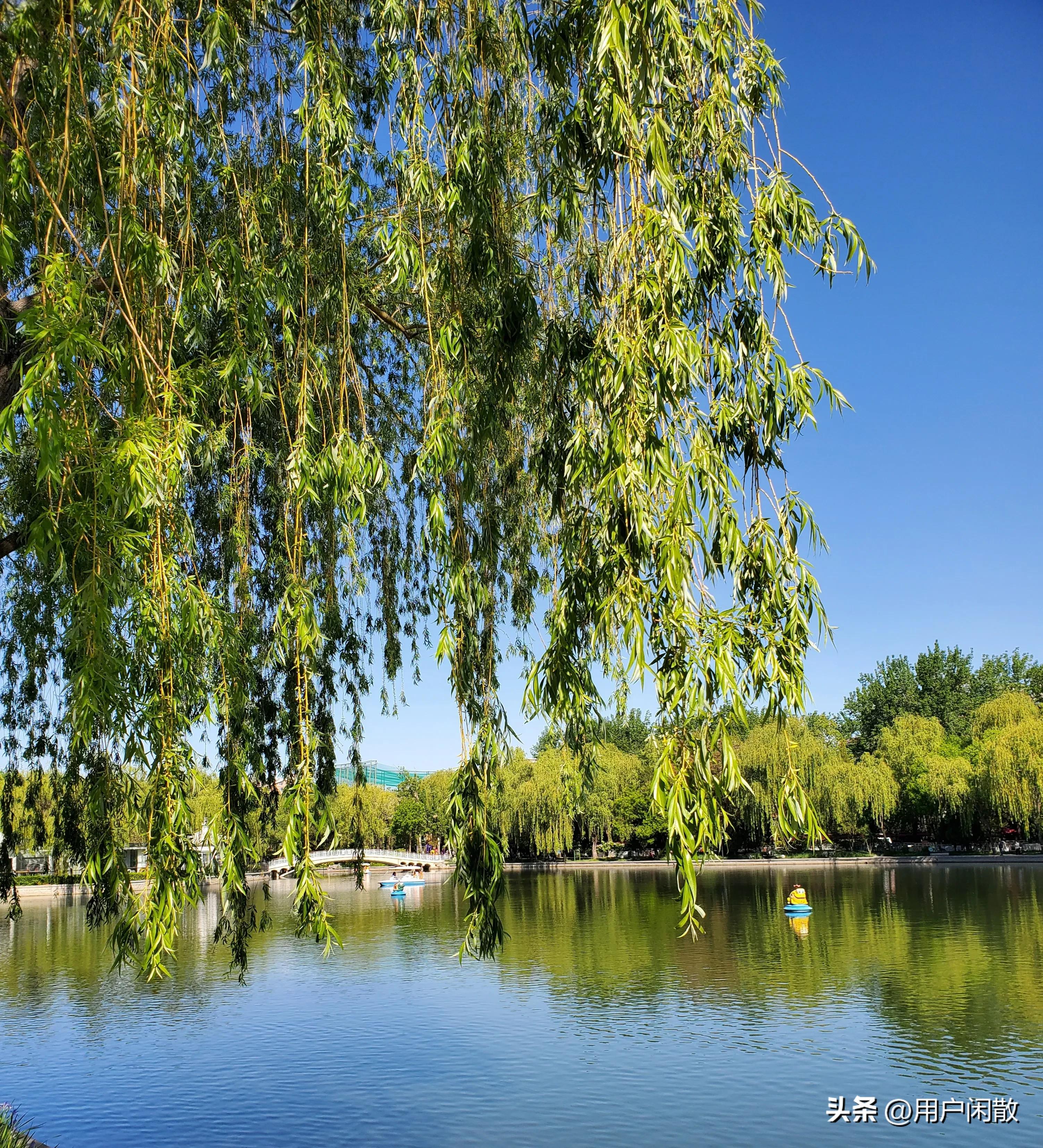 小清新养眼城市中藏着的迷你公园,城市中的静谧公园