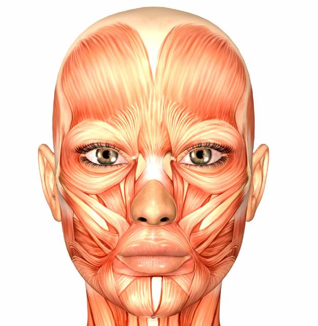 中医解决紧张头痛,中医治疗紧张性头痛