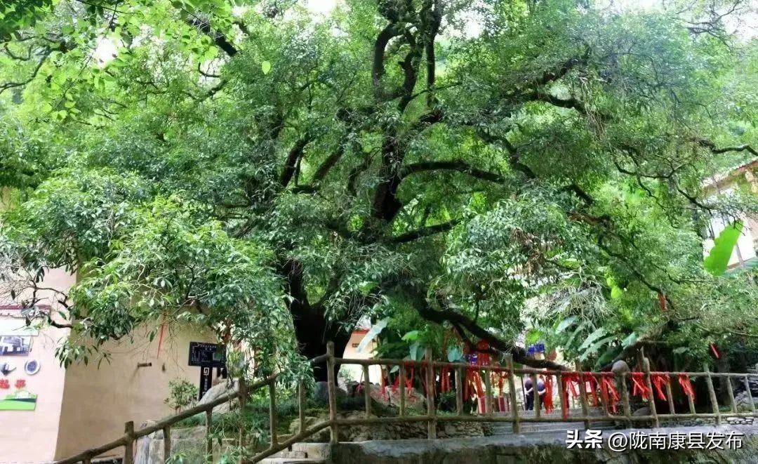 五一康养之旅,康养景区五一