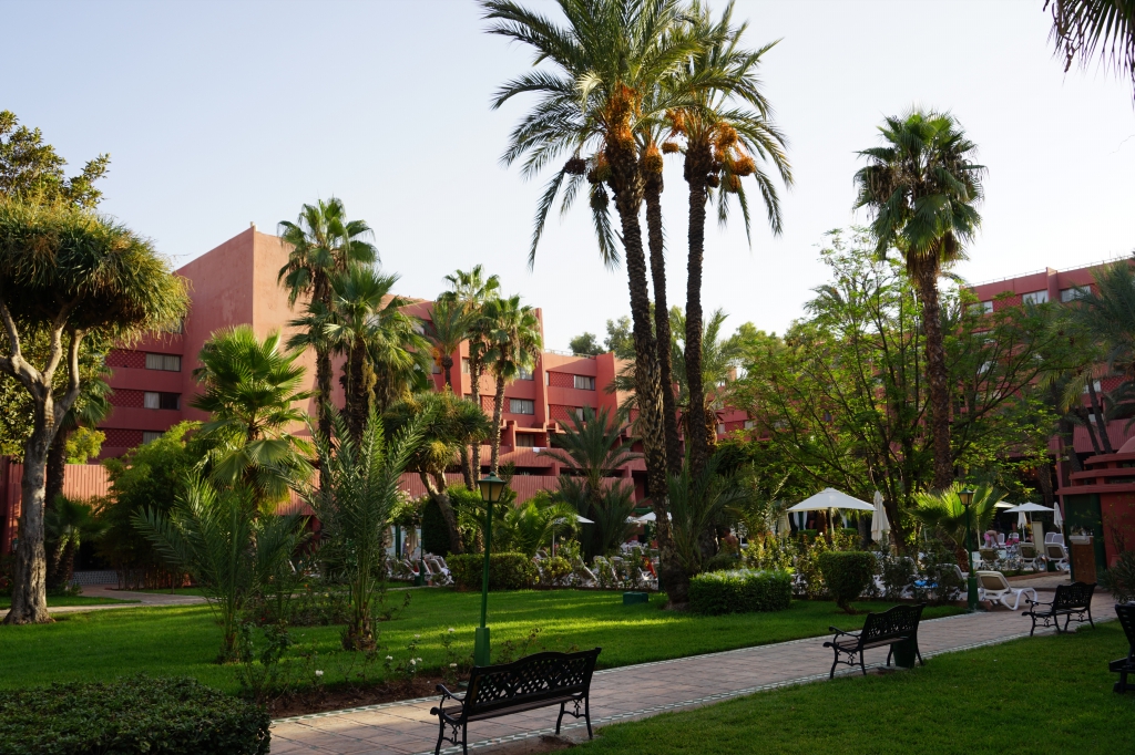 云中鹤空灵音乐,云中鹤钢琴曲