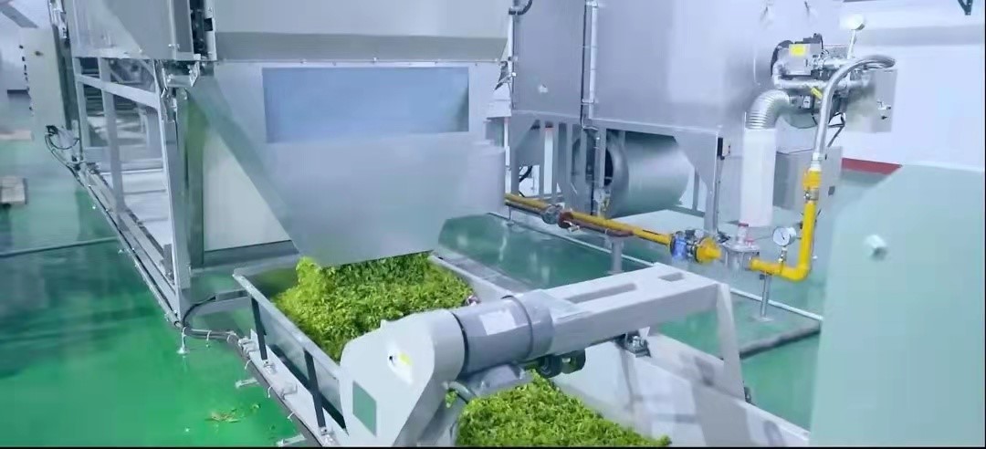 中国为何要多花2个亿，从印度进口茶叶？是中国茶不如印度茶吗？