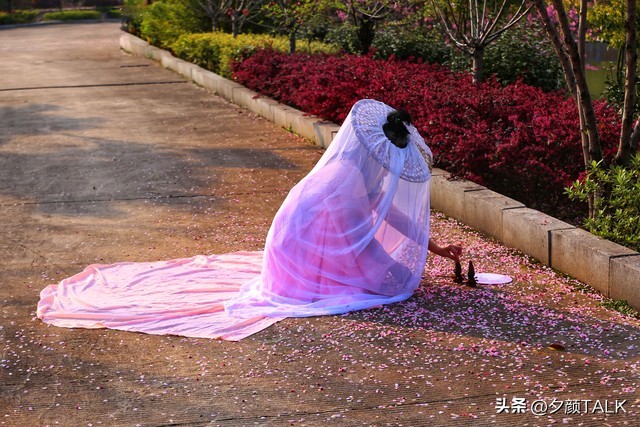 李清照词中花的意象,李清照花意象