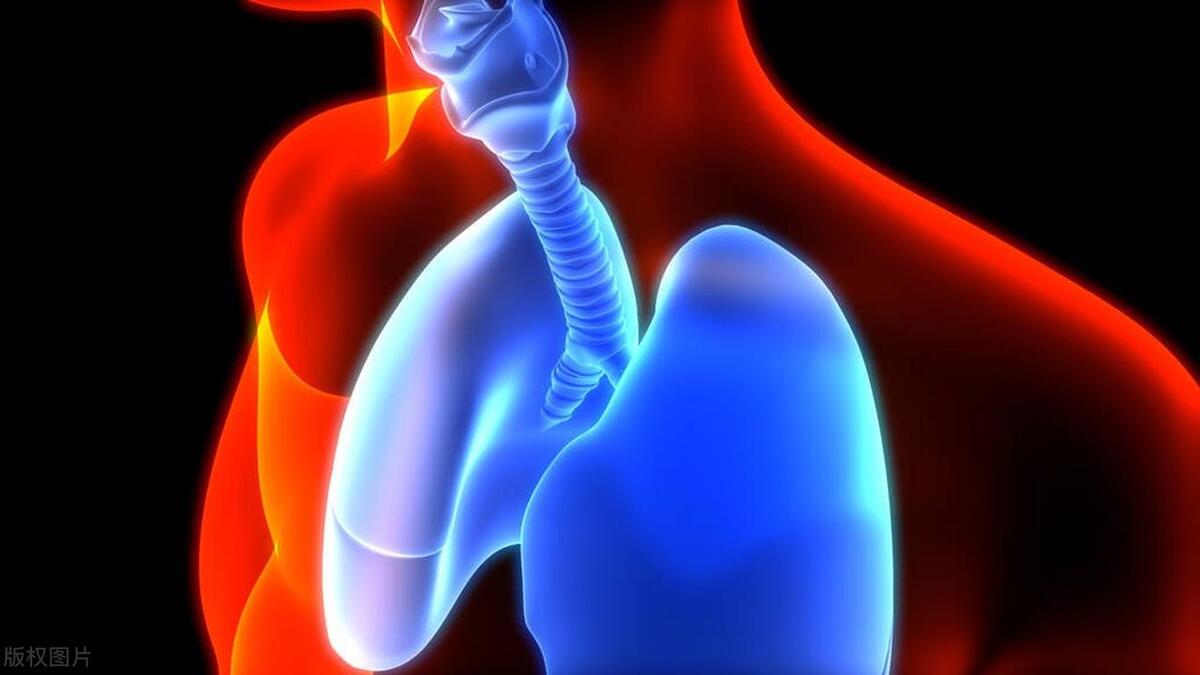 肺部有病警惕喉部六个信号,肺部有这四种表现应该尽快检查