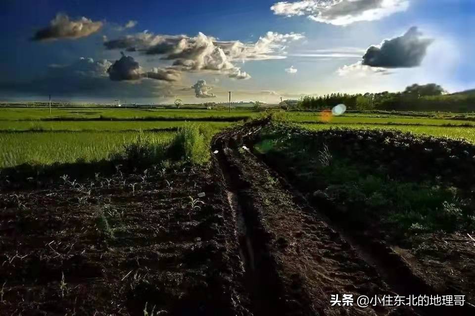 东三省有可能成为一个省了吗,东三省现在实力