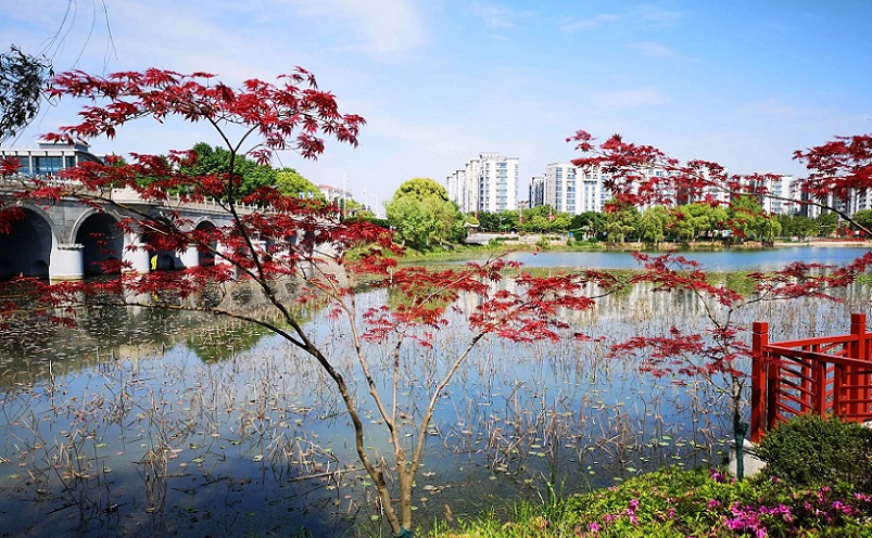 12月南京有哪些免费景点,南京市民免费旅游景点