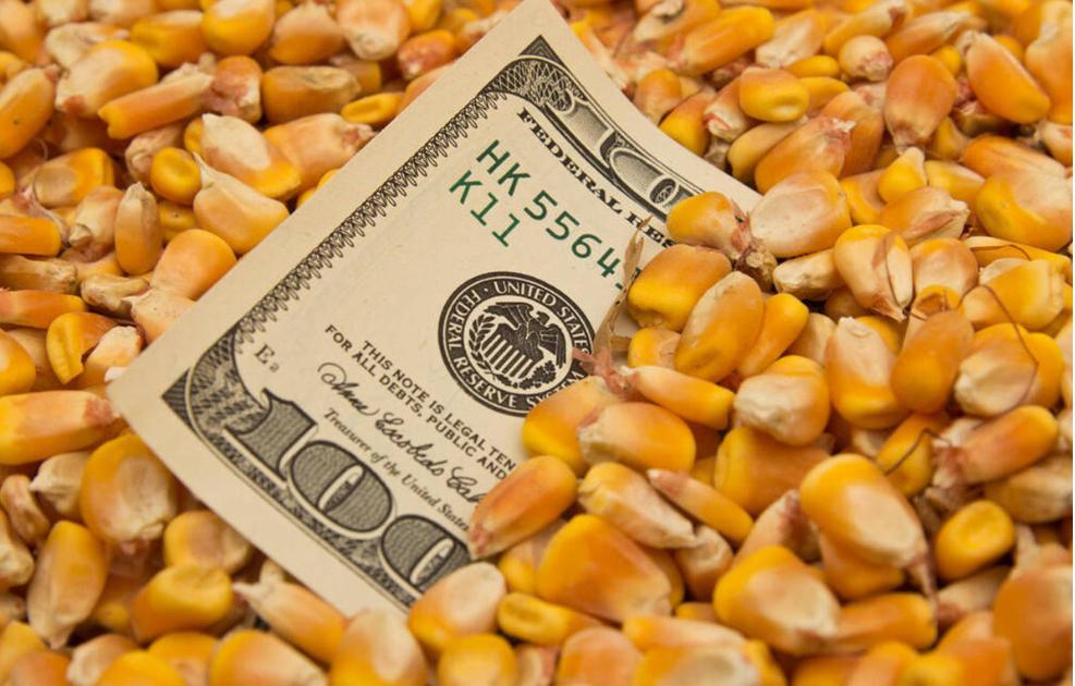 最近中国又抛售美债了吗,中国对美债最新的消息