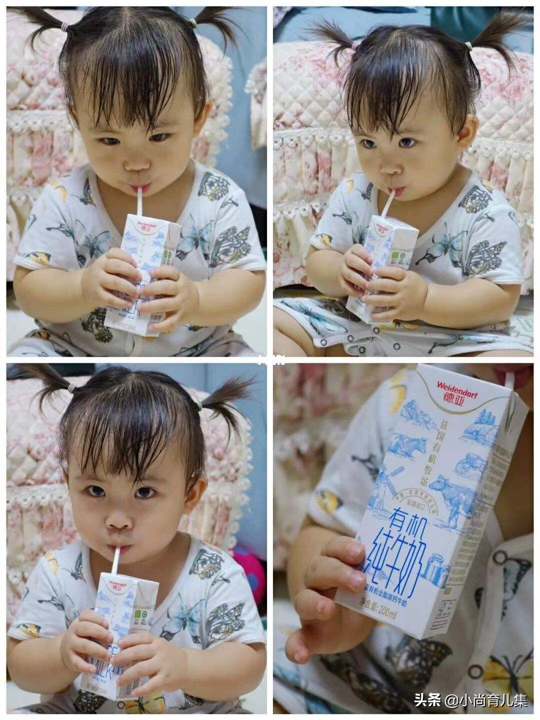 6岁男孩喝纯牛奶还是配方奶粉,2岁宝宝鲜牛奶和配方奶粉哪个好