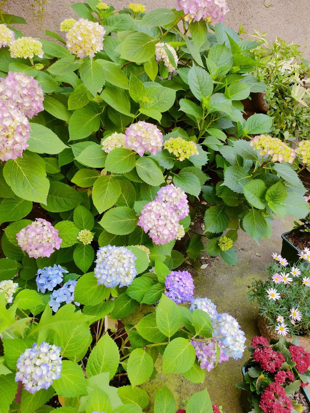 五菱缤果2024价格,五菱缤果落地价是多少