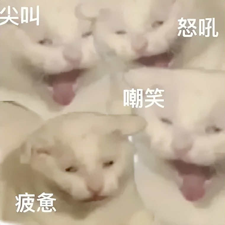 达音科alpha3和苹果airpods,达音科alpha3买3.5还是4.4