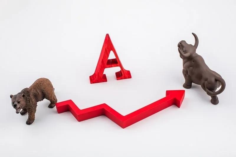 股票投资课程培训班,股票投资直播平台