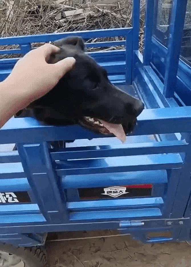 月老看事,月老吐血视频