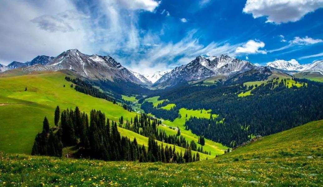 我的*疆新**情缘（中）