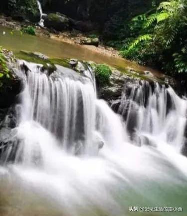 重庆到黑山谷景区怎么坐车,重庆黑山谷自驾游一天