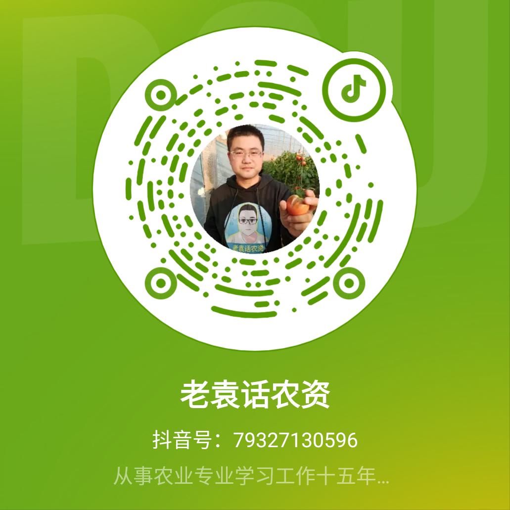 西红柿常见的病害,西红柿各种病害的表现