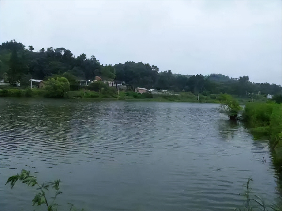 雷雨天钓鱼怎样防止被雷击,一男子遭雷击
