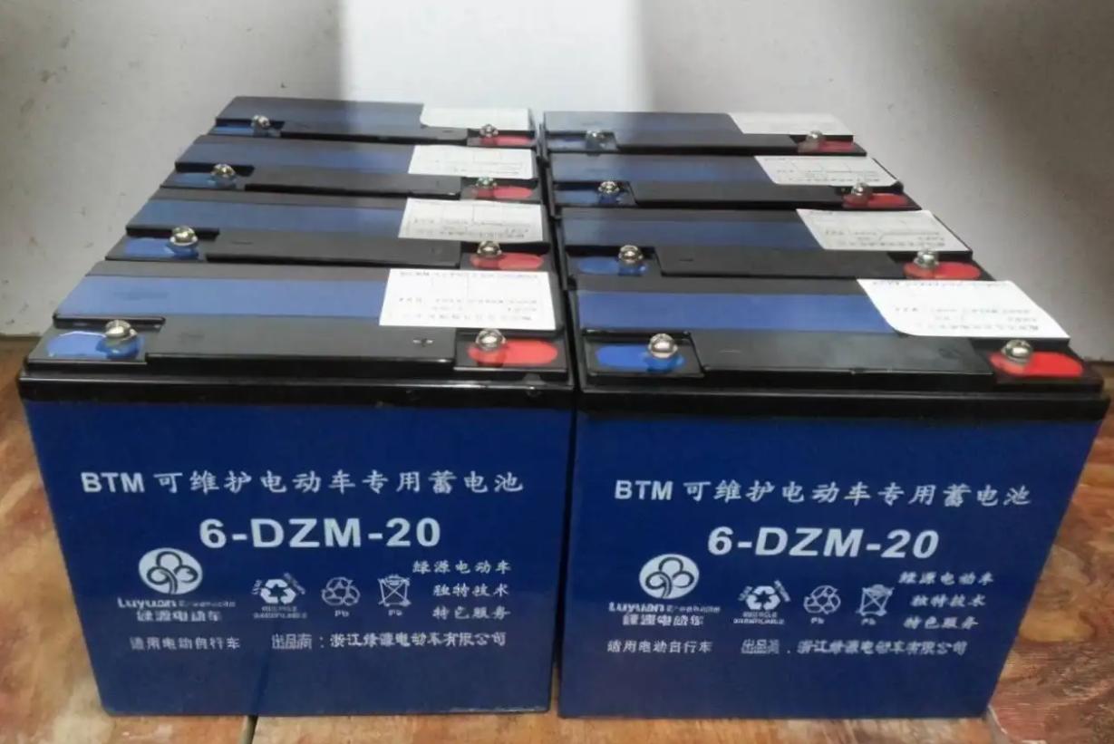 电动车用哪种电池跑得远,电动车60伏哪种电池耐用