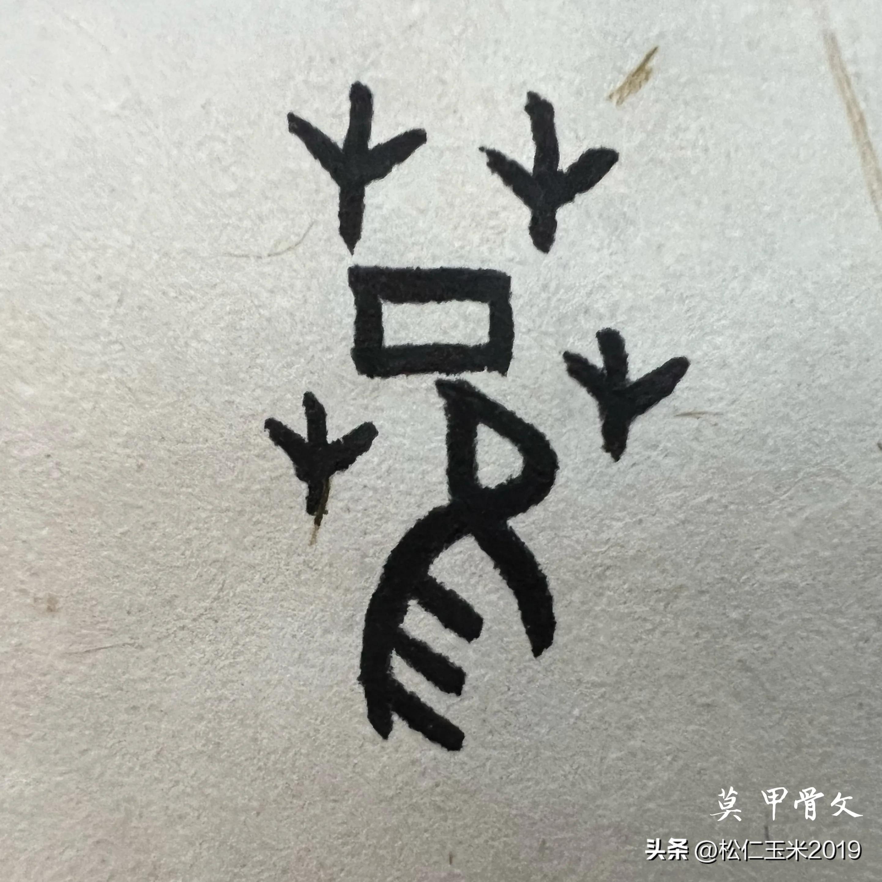 有趣的汉字草,有趣的汉字1600进阶篇