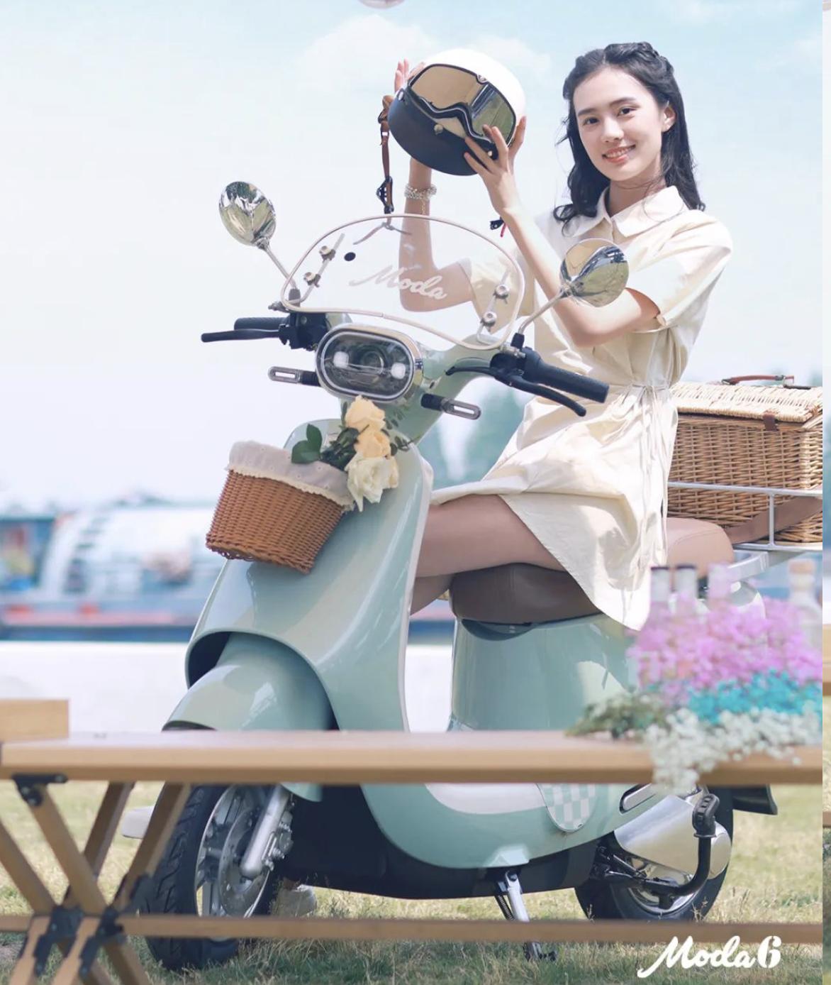 绿源电动车跟爱玛电动车对比,爱玛电动车与绿源价格对比