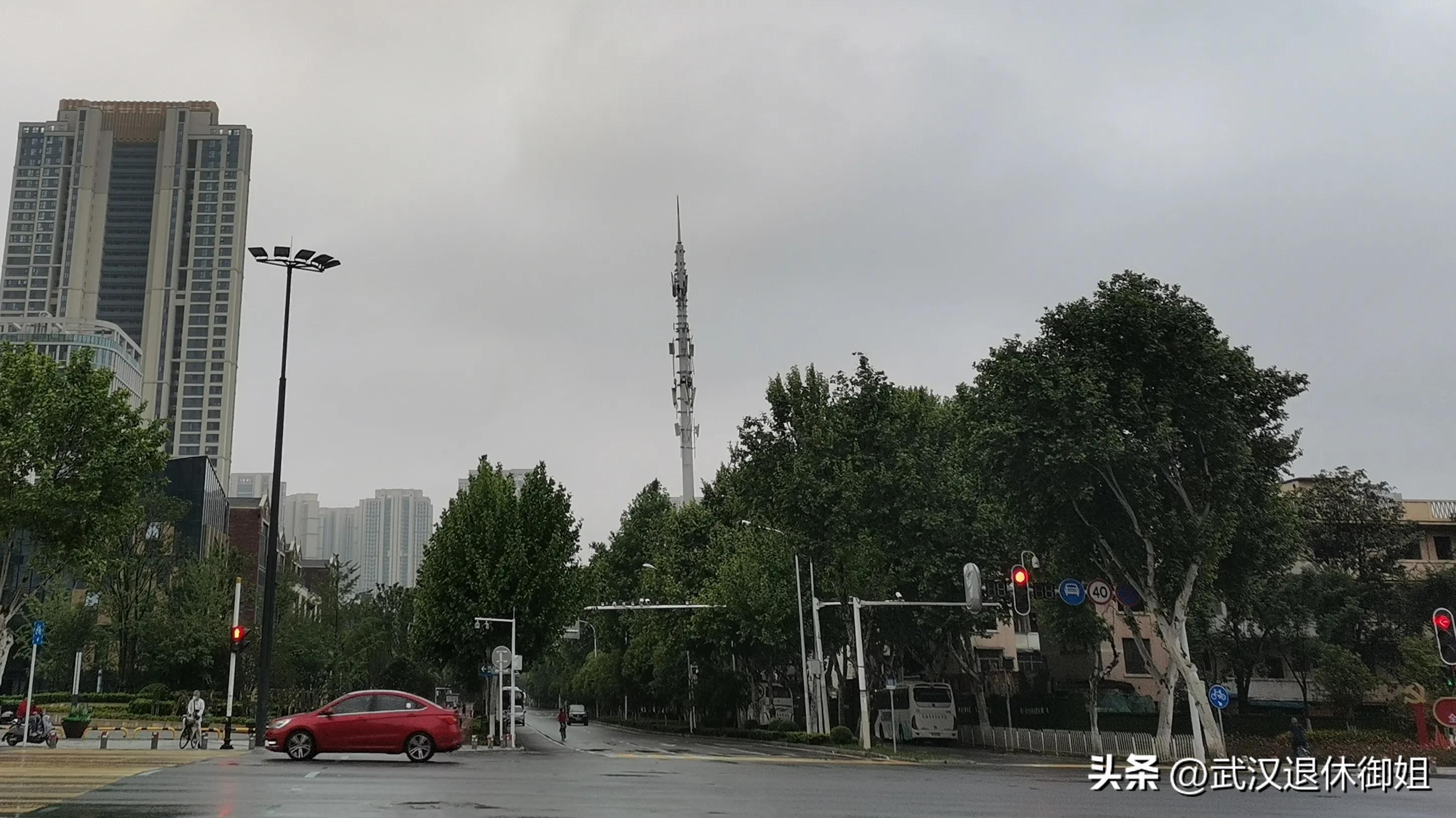 40到60岁老人免费领鸡蛋,60岁老人免费领鸡蛋