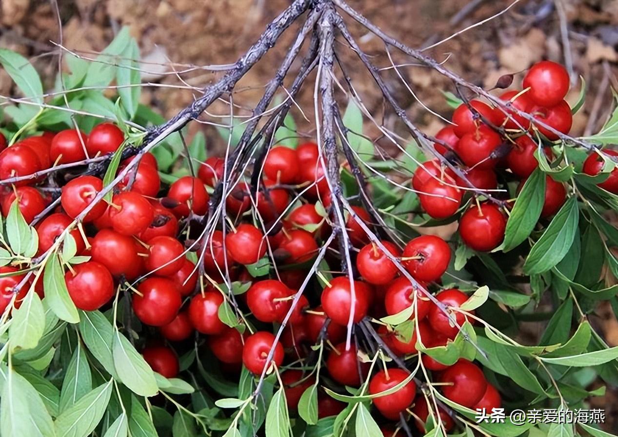 8090怀旧经典零食你都吃过哪些,中国最怀旧的58种经典零食