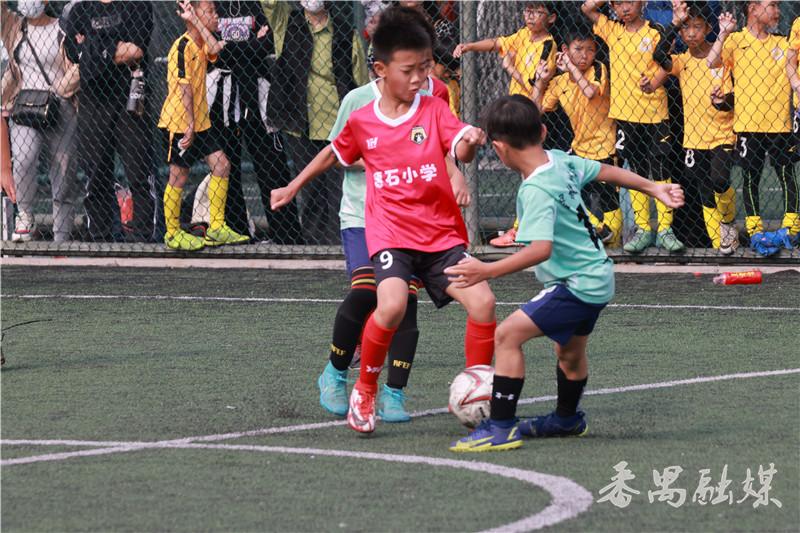 绿茵点燃梦想足球比赛,番禺区2024年校园足球联赛