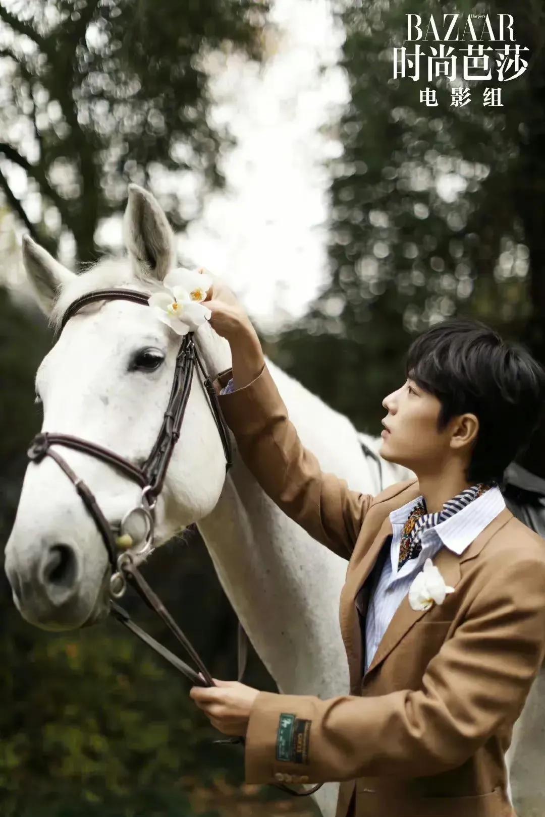 时尚芭莎肖战银发造型高清,肖战登时尚芭莎封面人物