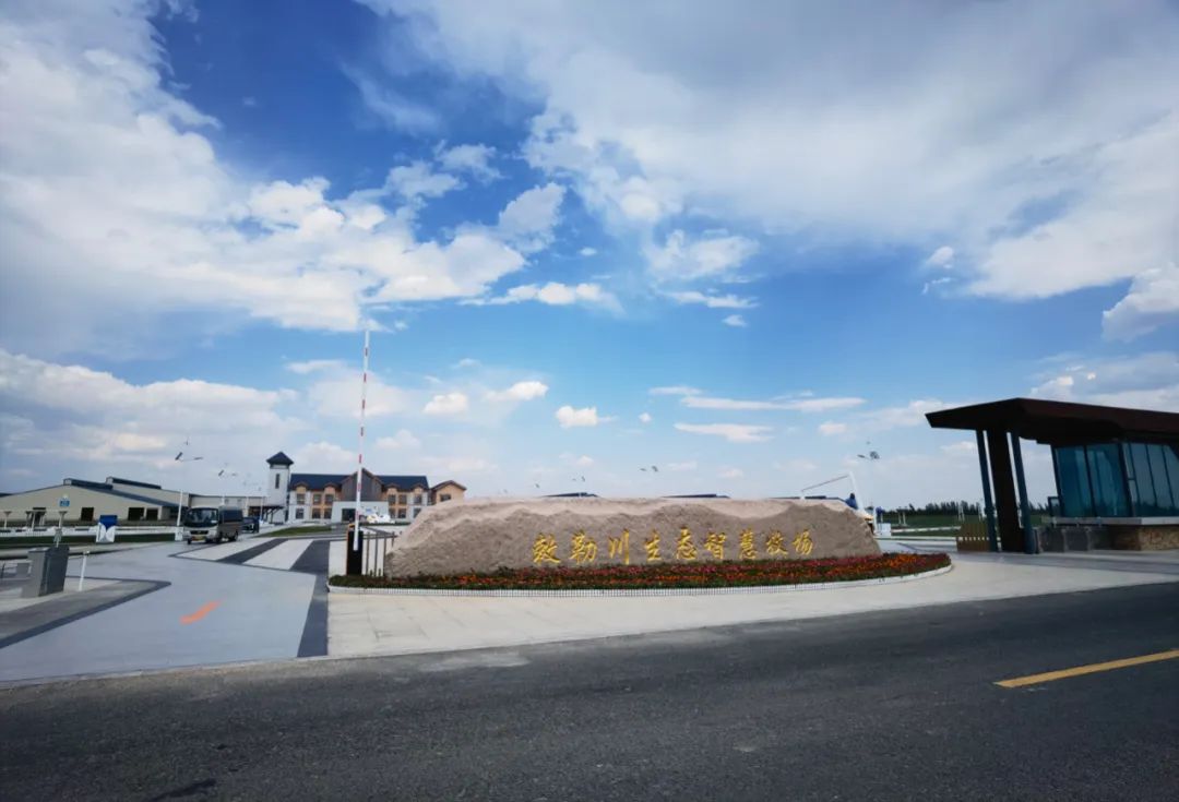 金领冠伊利奶粉金装怎么样,伊利金领冠奶粉卖点是什么