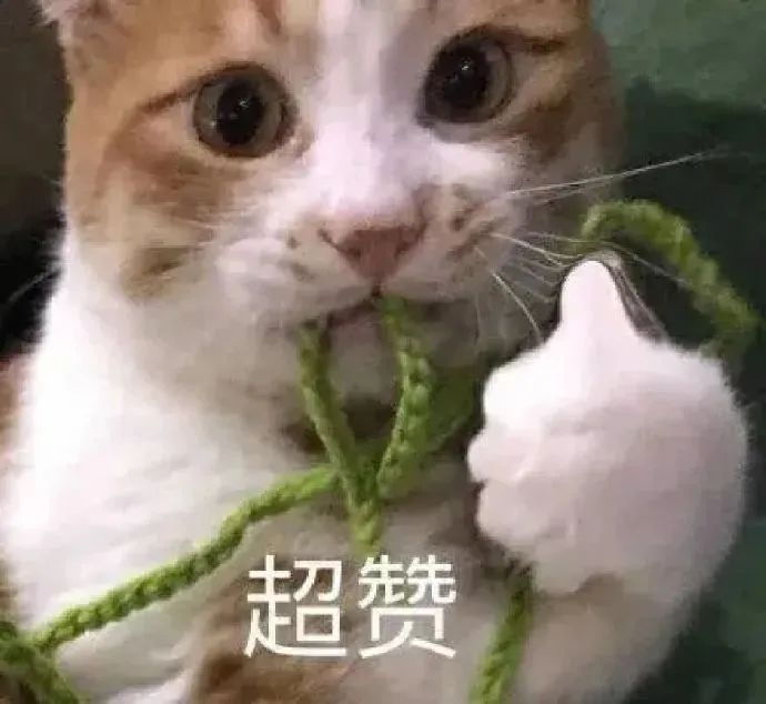 我要打游戏了等一会再聊表情包,不要打扰老子打游戏的表情包