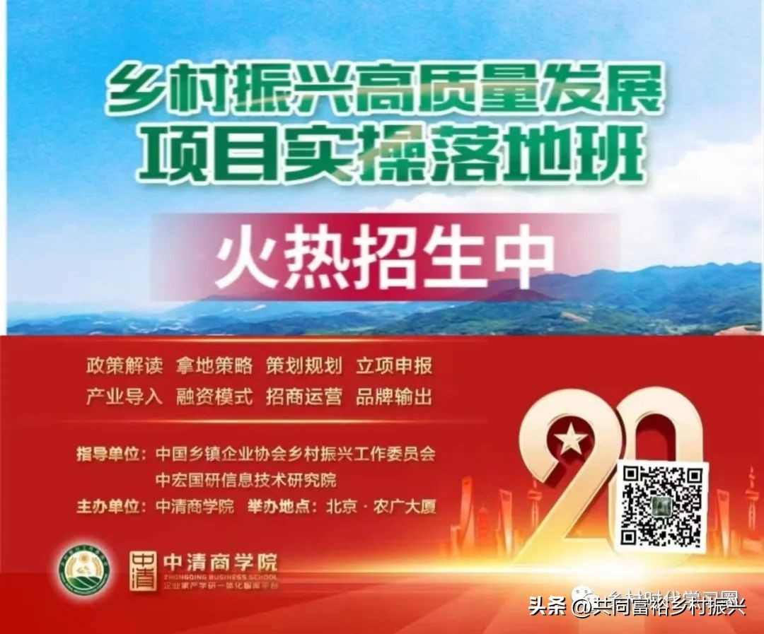乡村振兴项目贷款及补贴政策,乡村振兴政策应知应会的知识